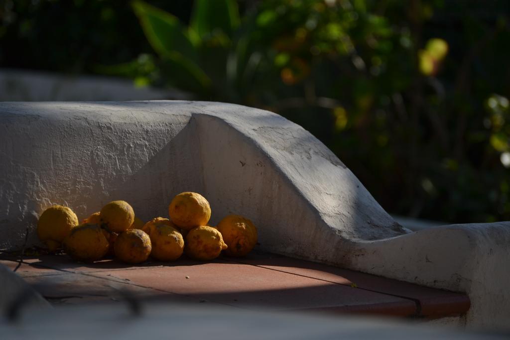 Schicciolina Vila Stromboli Exterior foto